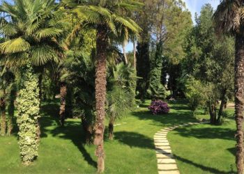 GIARDINO_14_A