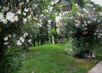 GIARDINO_5_A