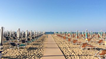 06 BIBIONE